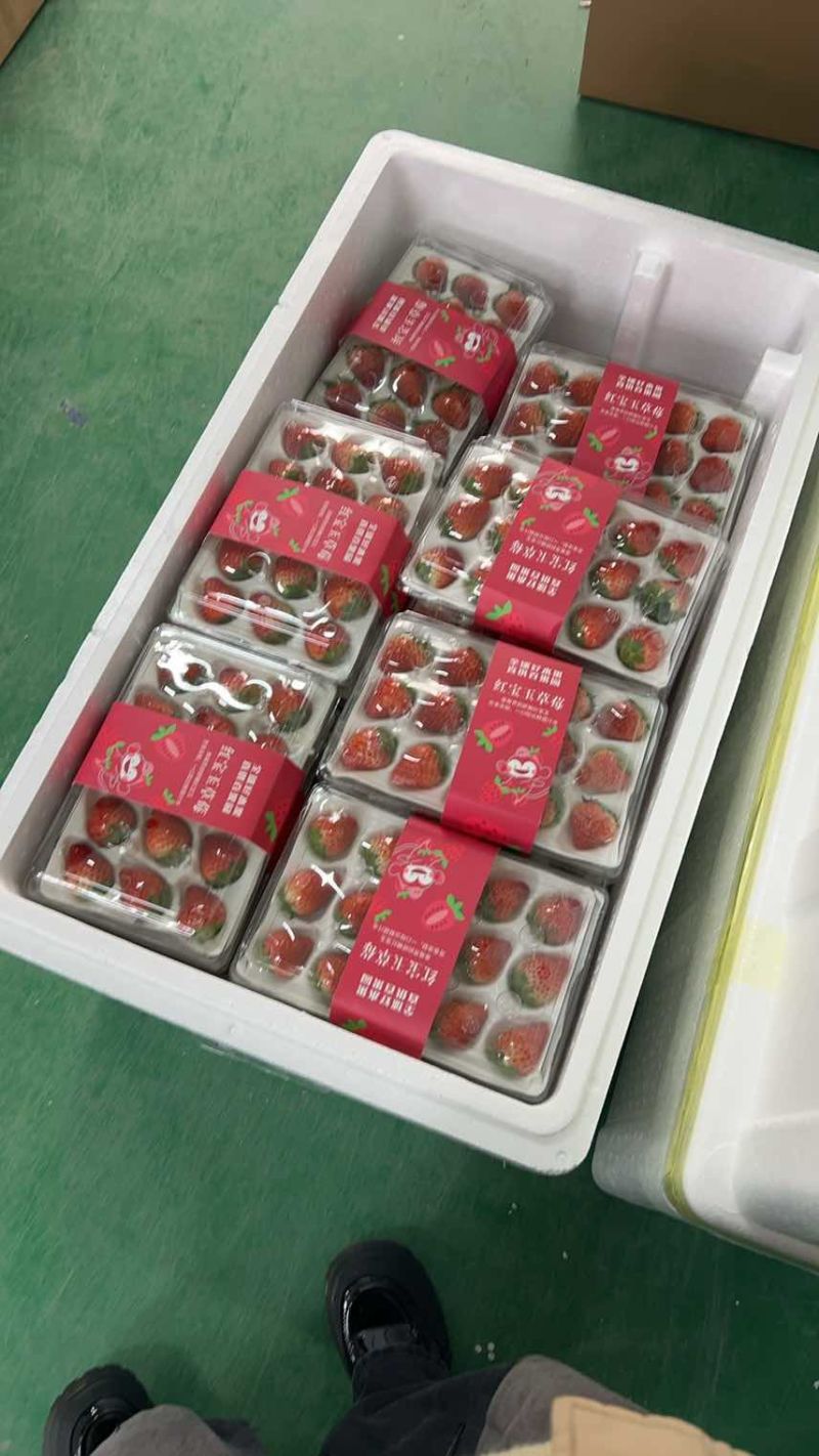 丹东九九草莓，对接全国批发商，代收