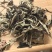 有机白茶一芽一二叶，口感香甜，喝的放心。