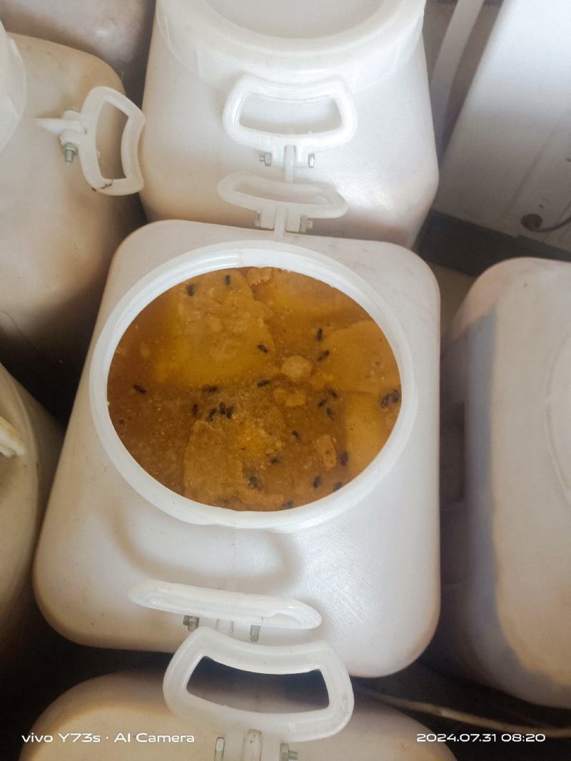 纯正土蜂蜜，百花蜜。