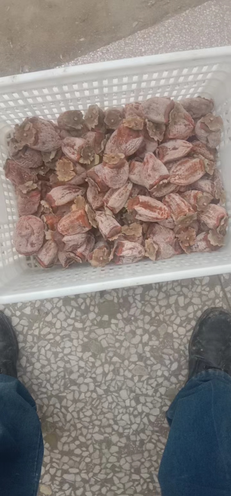 正宗富平柿饼