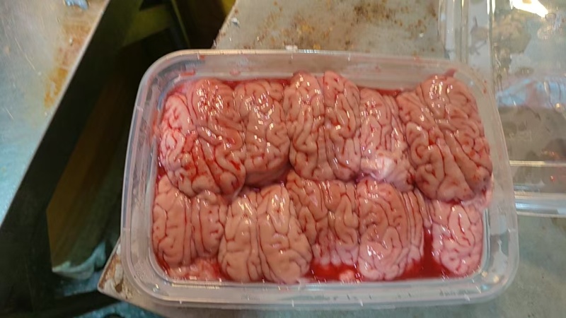 我主要卖脑花猪腰子