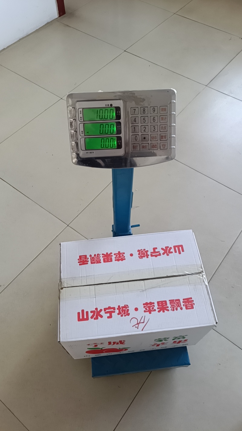 宁城蒙富苹果