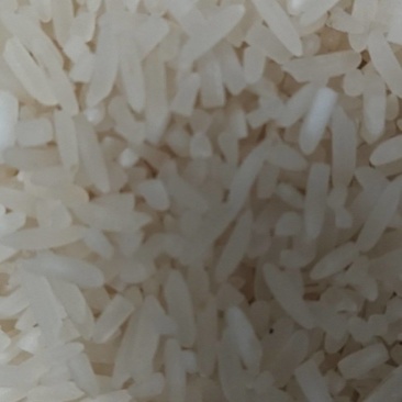 重庆山城自种大米