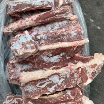 多肉羊蝎子