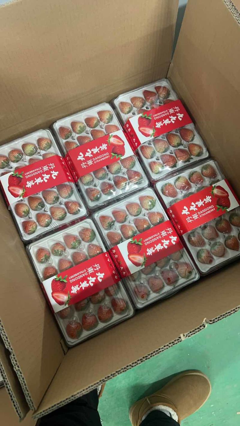 丹东九九草莓对接全国批发市场商超
