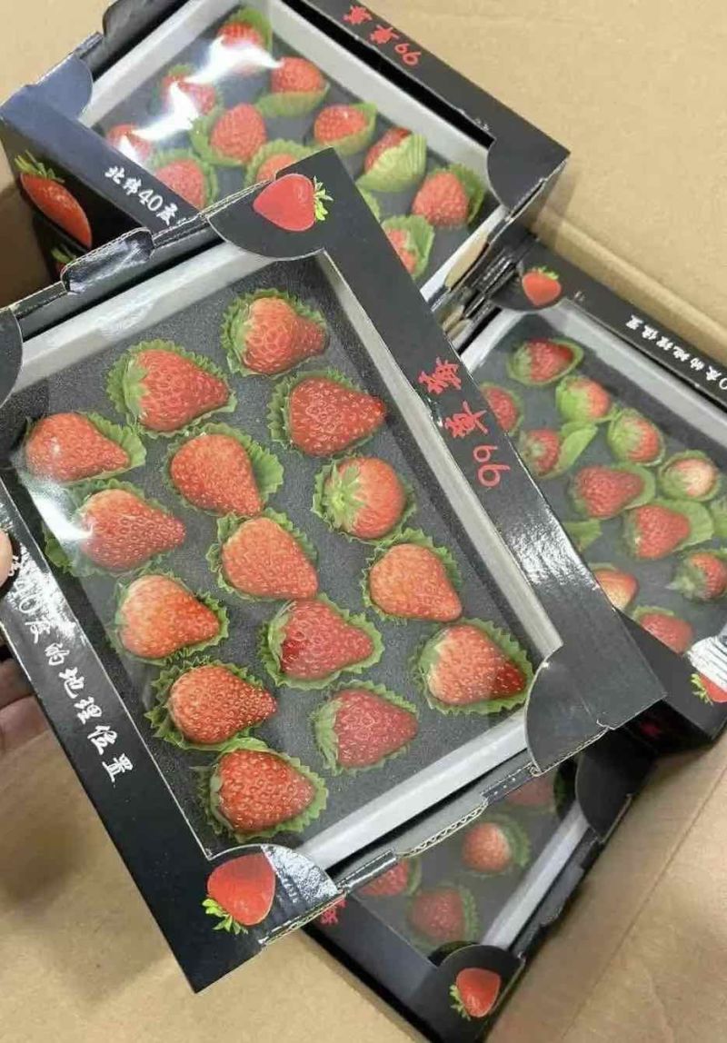 丹东九九草莓对接全国批发市场商超