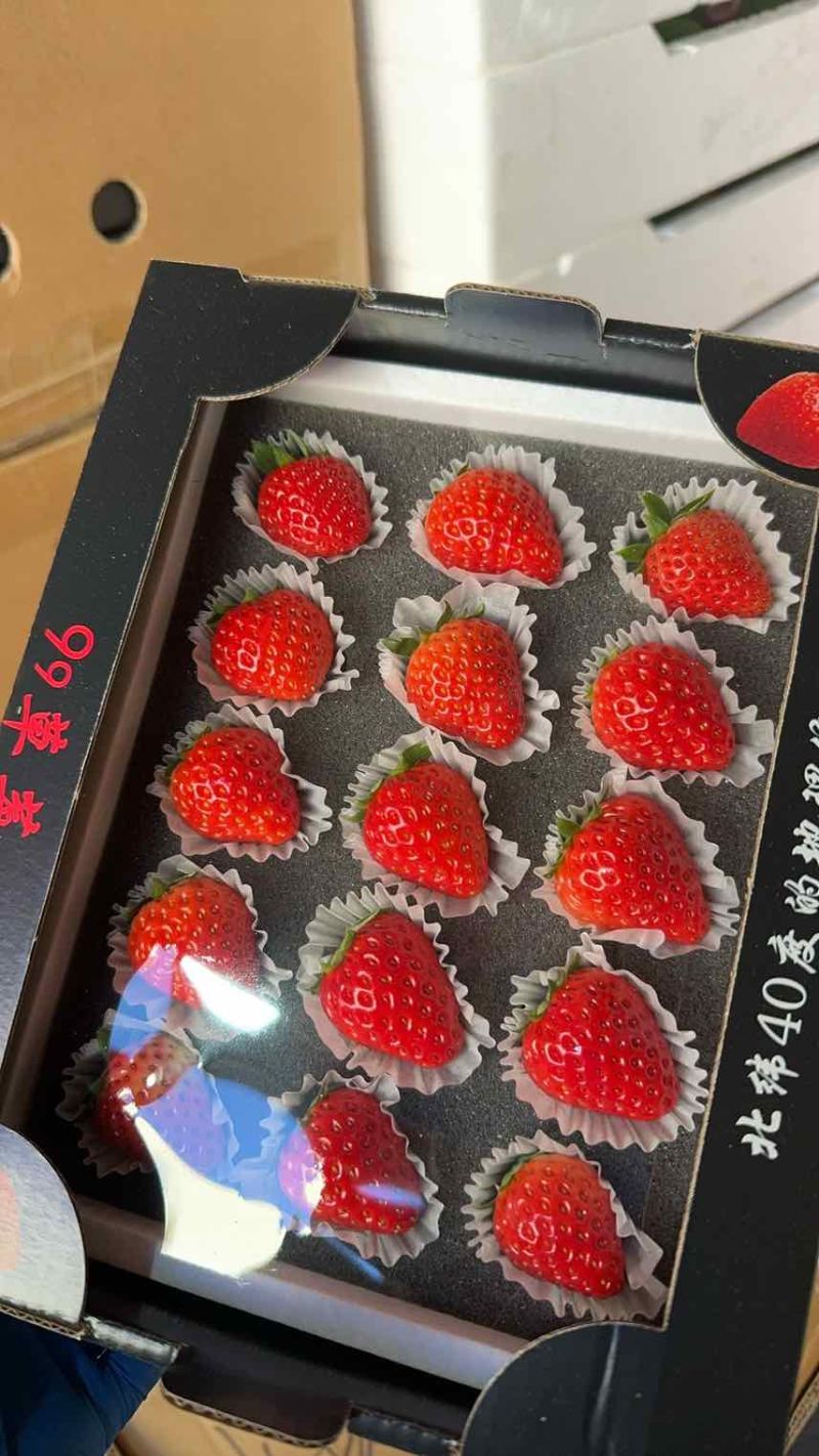 丹东九九草莓对接全国批发市场商超