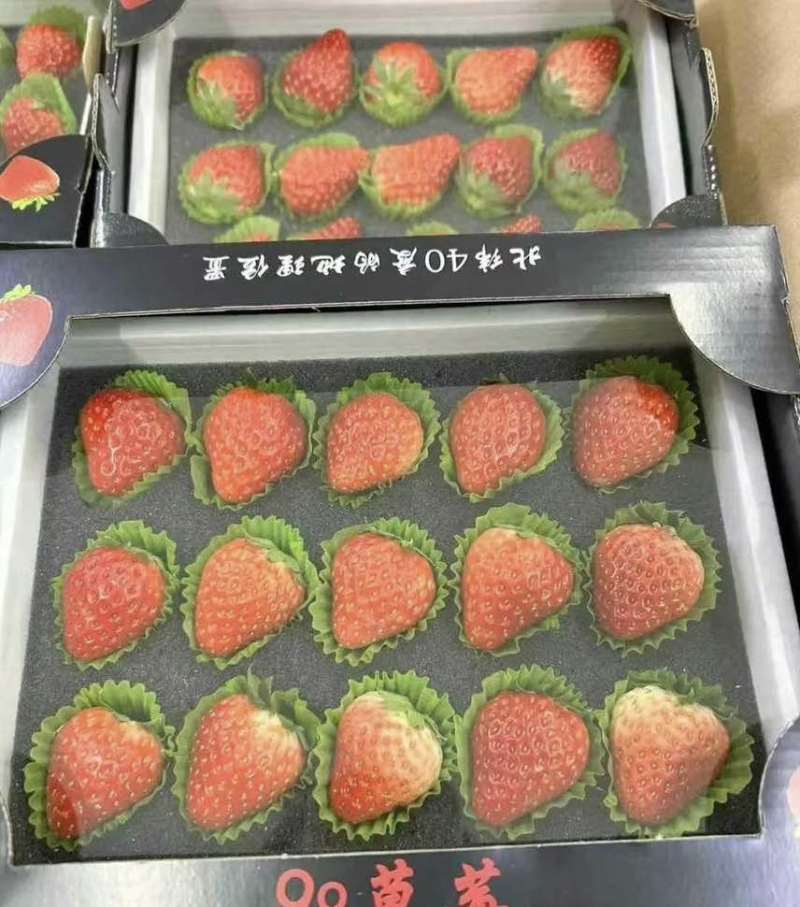 丹东九九草莓对接全国批发市场商超