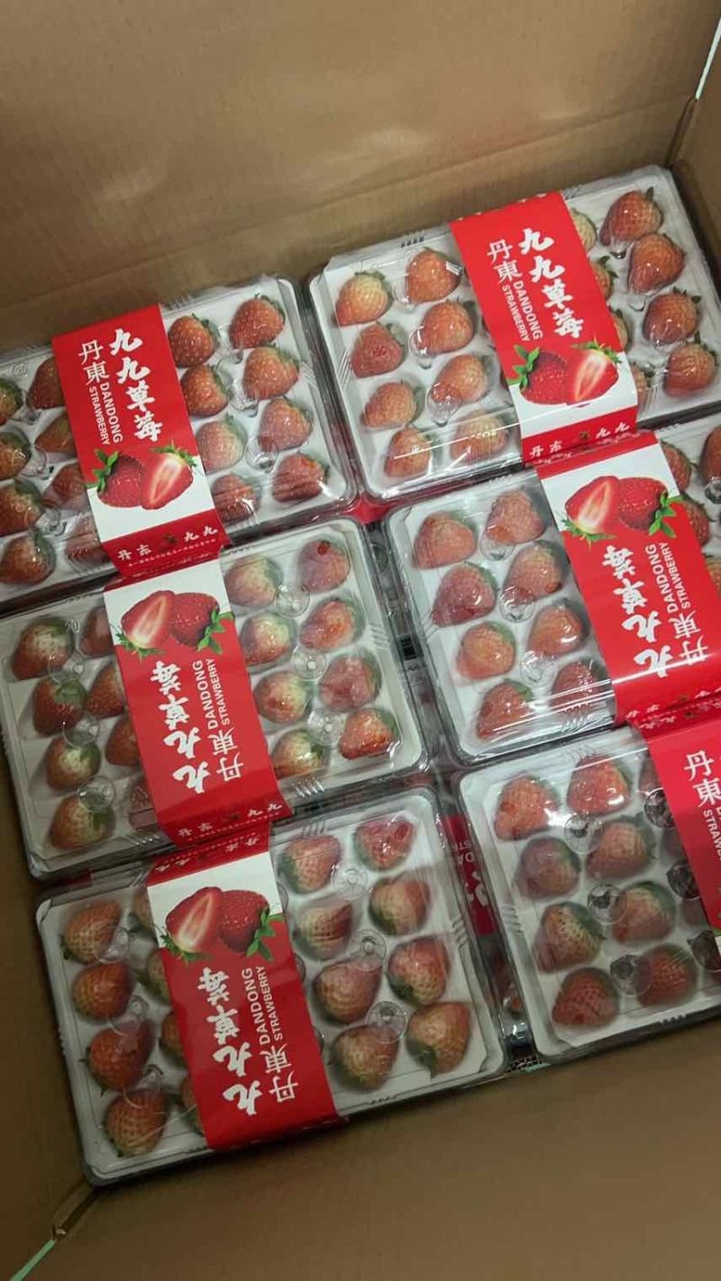 丹东九九草莓对接全国批发市场商超