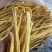 广西非转基因大豆制作优质支竹