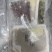 黑鱼片