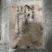 黑鱼片