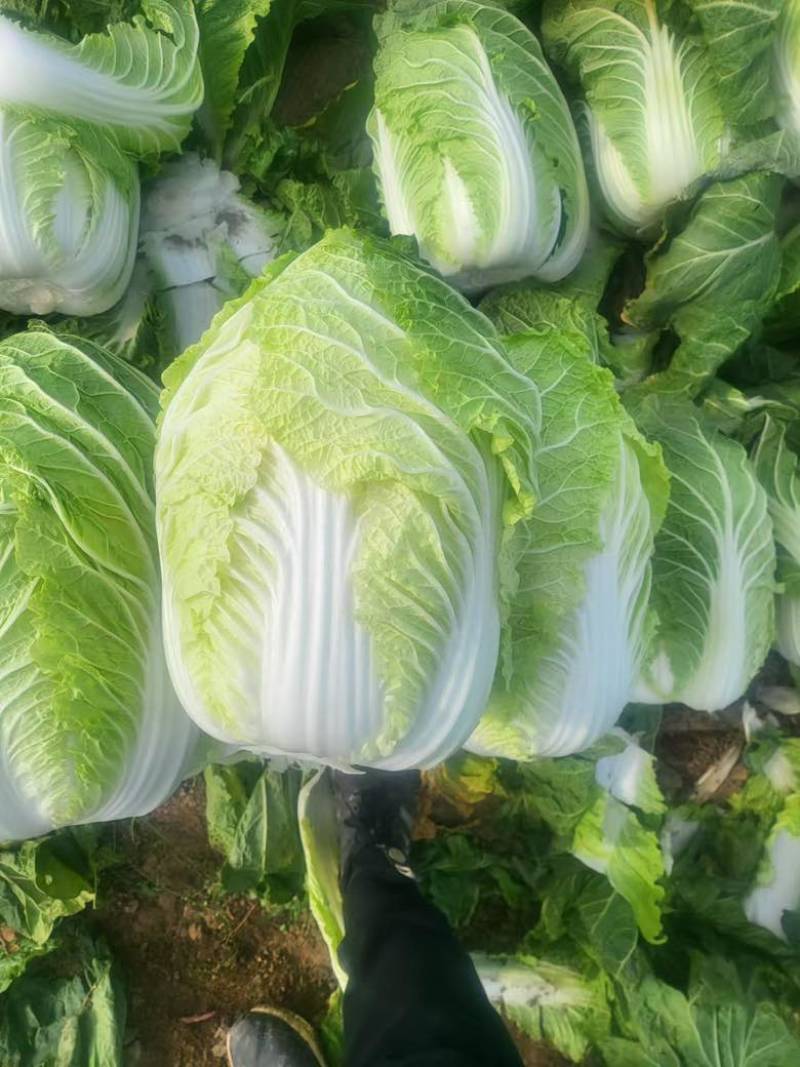 价格便宜质量好345-456-789都有支持各种包装需要来电