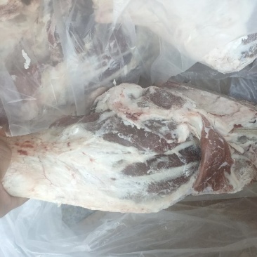 精品羊后腿厂家一手货源质量保证价格实惠