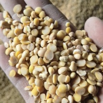 豆腐专用豆瓣蛋白44-49