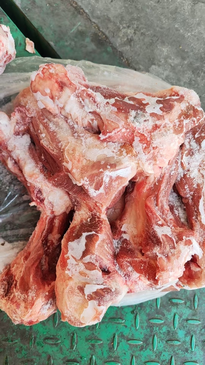 前腿骨