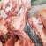前腿骨