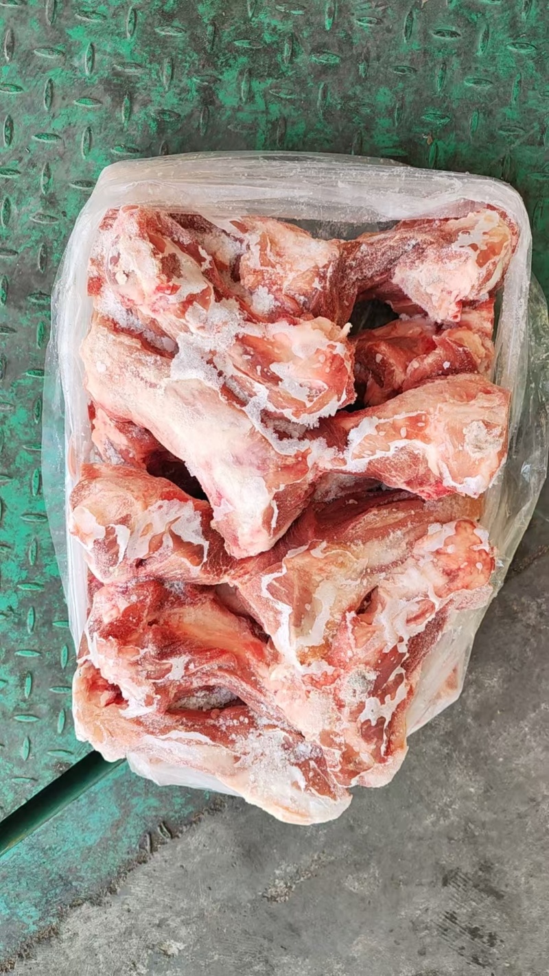 前腿骨