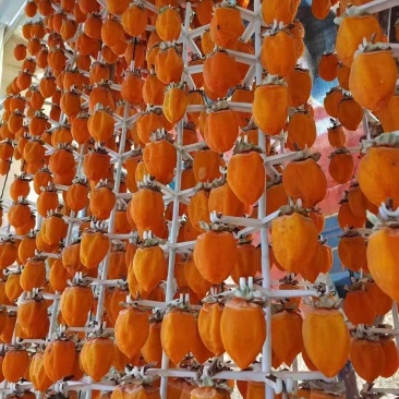 富平柿饼