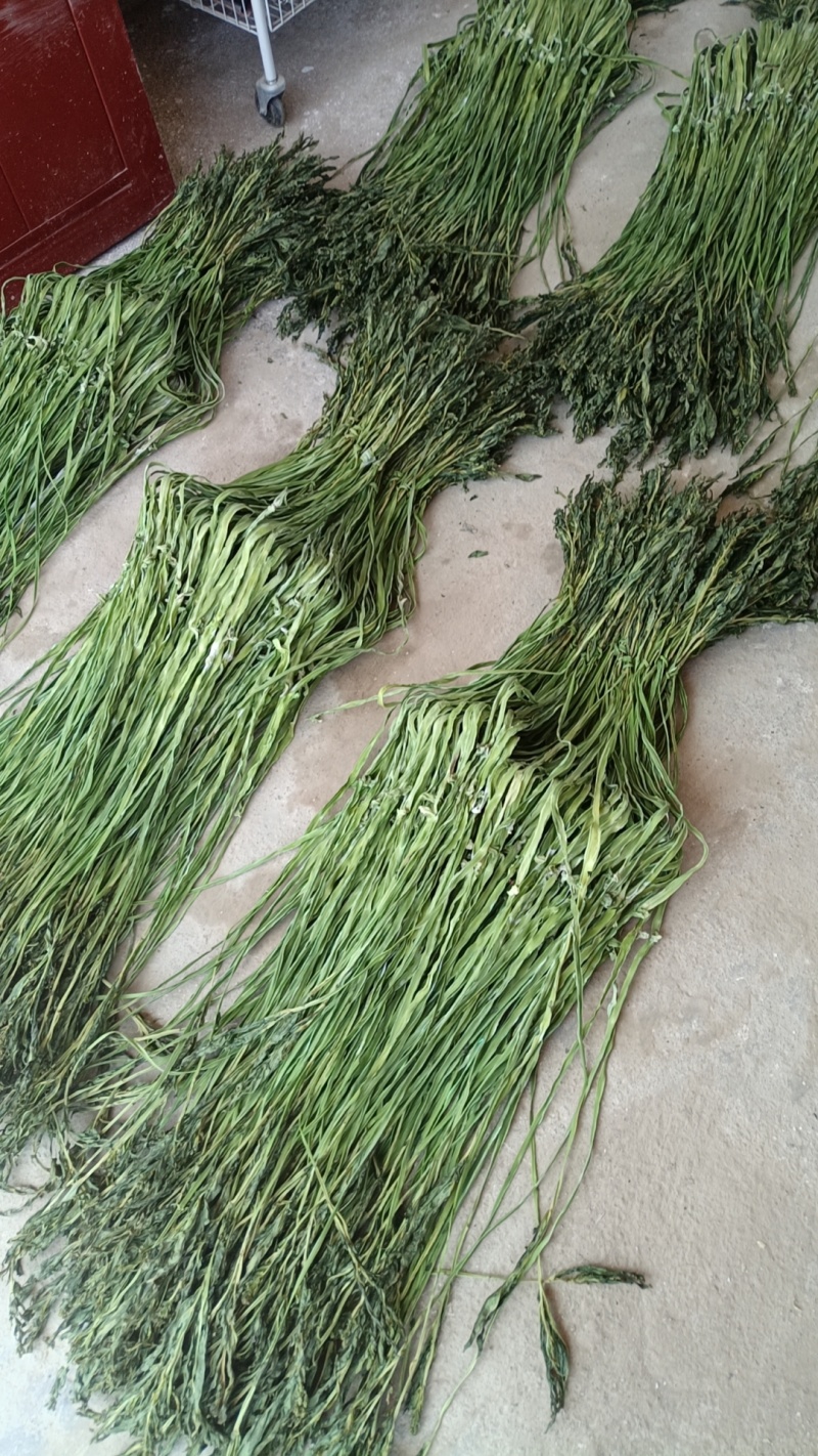 邳州特产（特级贡菜）