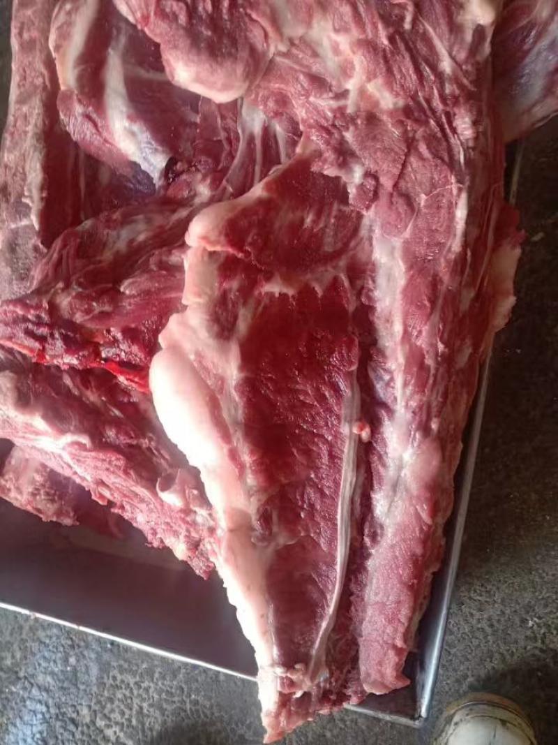 母猪龙骨大量出货多肉量大欢迎来电价格优惠