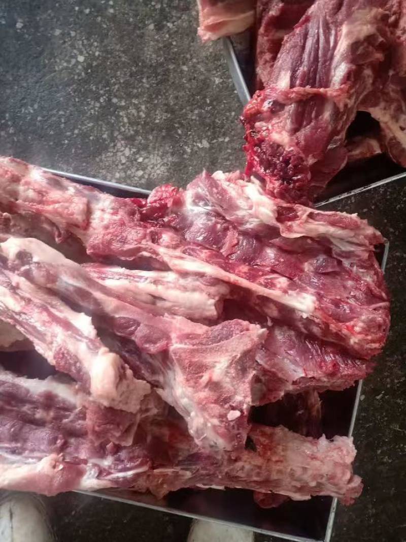 母猪龙骨大量出货多肉量大欢迎来电价格优惠