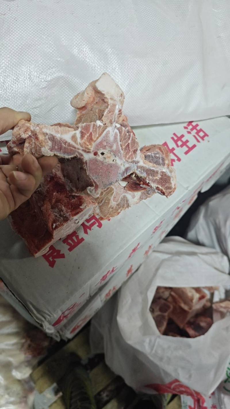 母猪龙骨大量出货多肉量大欢迎来电价格优惠