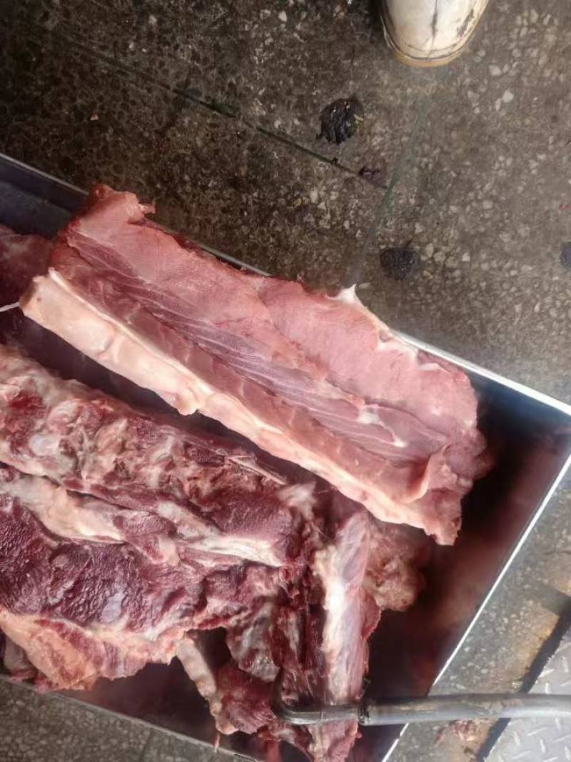 母猪龙骨大量出货多肉量大欢迎来电价格优惠
