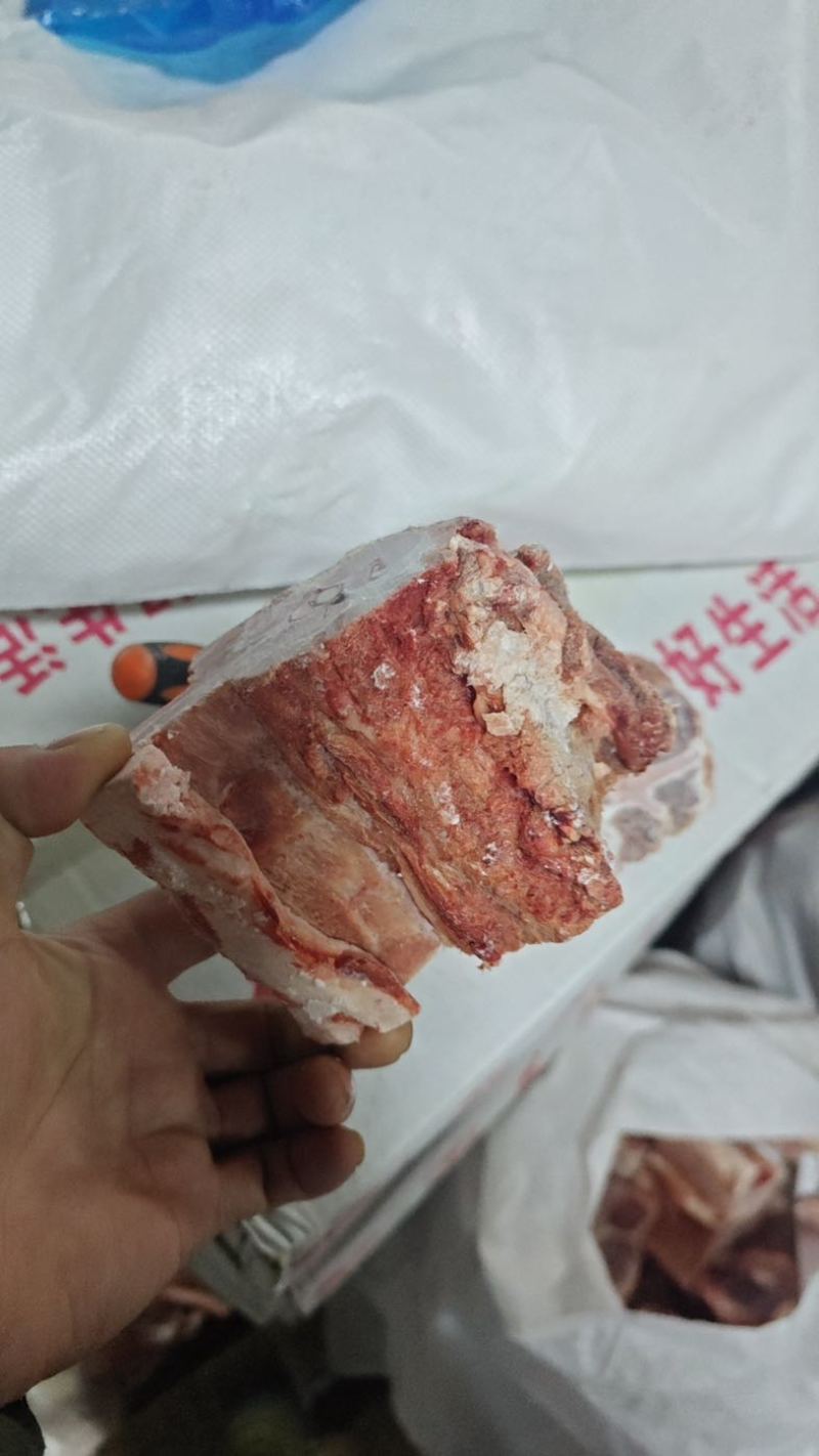 母猪龙骨大量出货多肉量大欢迎来电价格优惠