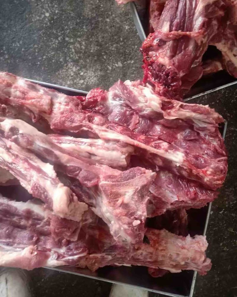 母猪龙骨大量出货多肉量大欢迎来电价格优惠