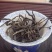 普洱茶