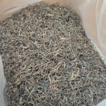 普洱茶
