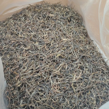普洱茶