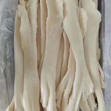 牛板筋厂家直销量大从优