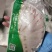 猪肚最新日期！现场实拍！全国接单！冷链直达！