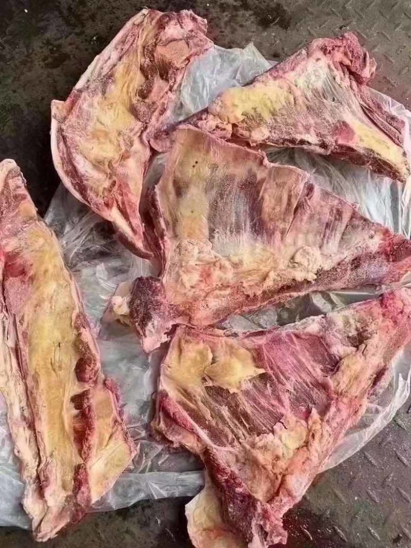 牛小排切块牛胸骨酒店饭店快餐冻品食材全国发货一手货源