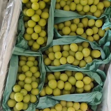 赶集货，5万斤