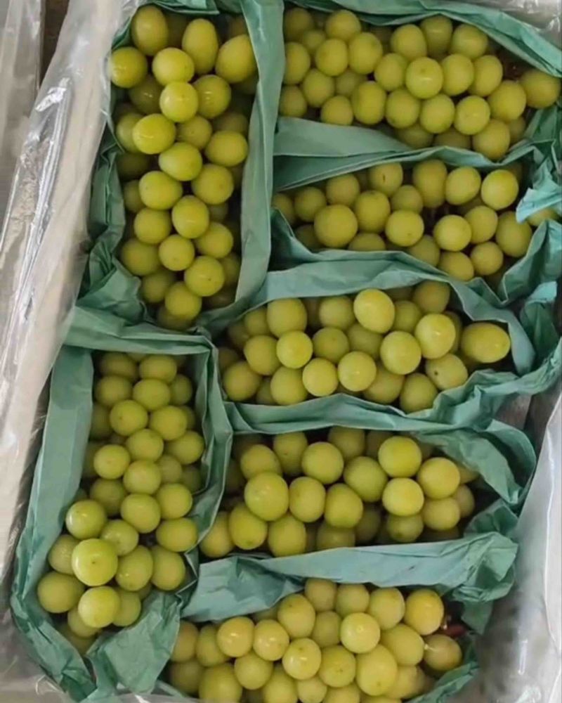 赶集货，5万斤