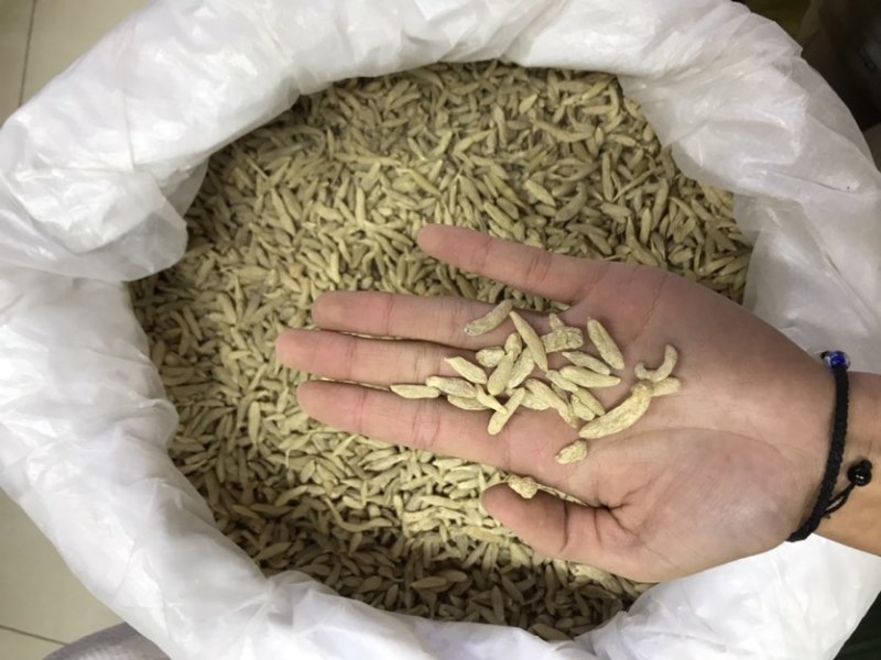特级川麦冬绵阳淡黄麦冬无硫一手货源大货批发欢迎选购
