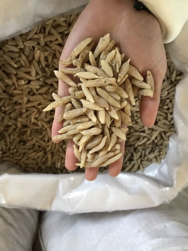 特级川麦冬绵阳淡黄麦冬无硫一手货源大货批发欢迎选购