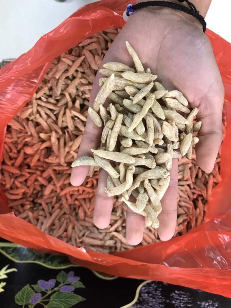 特级川麦冬绵阳淡黄麦冬无硫一手货源大货批发欢迎选购