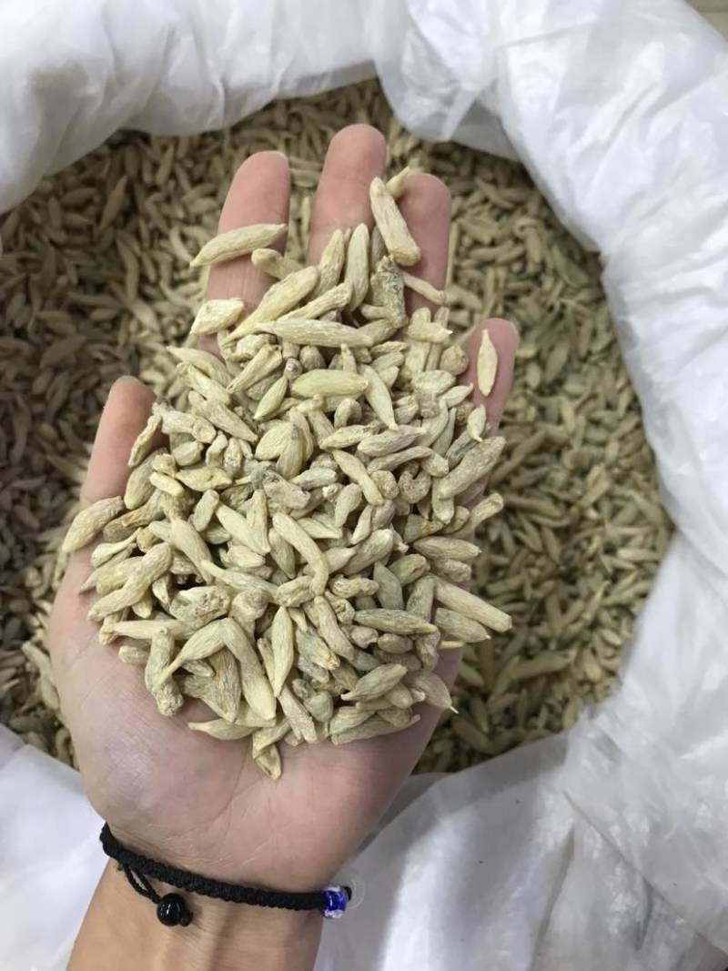 特级川麦冬绵阳淡黄麦冬无硫一手货源大货批发欢迎选购