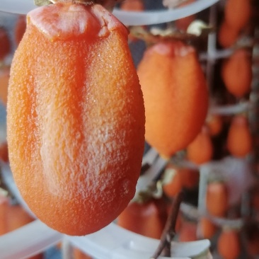 陕西富平柿饼
