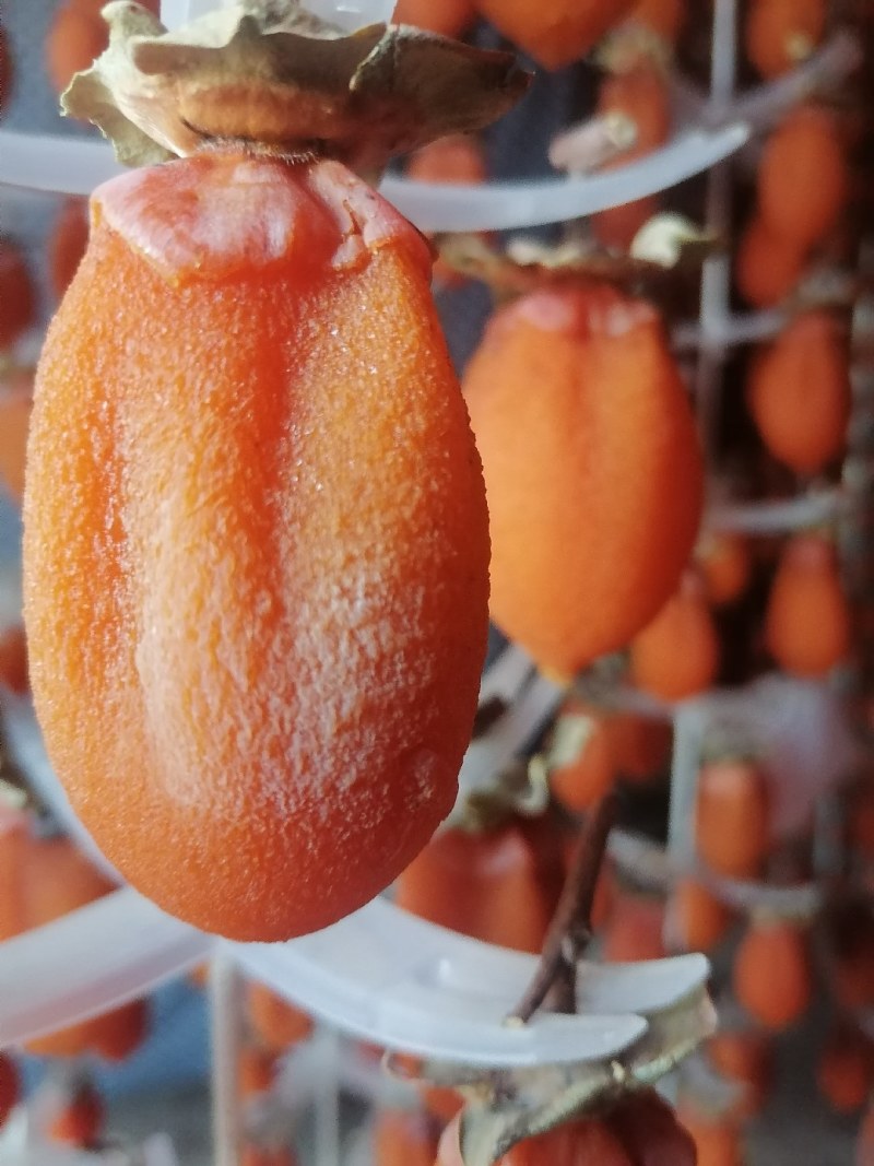 陕西富平柿饼
