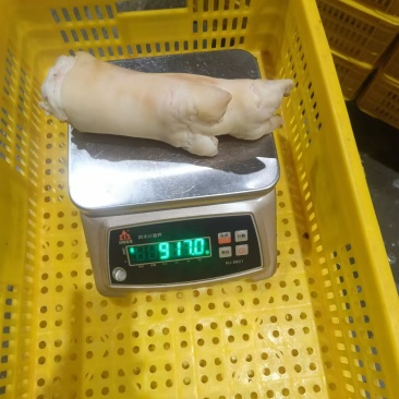 母猪蹄