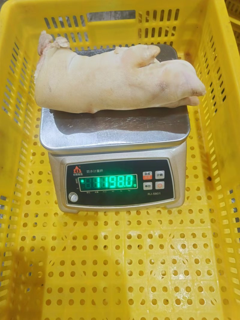 母猪蹄