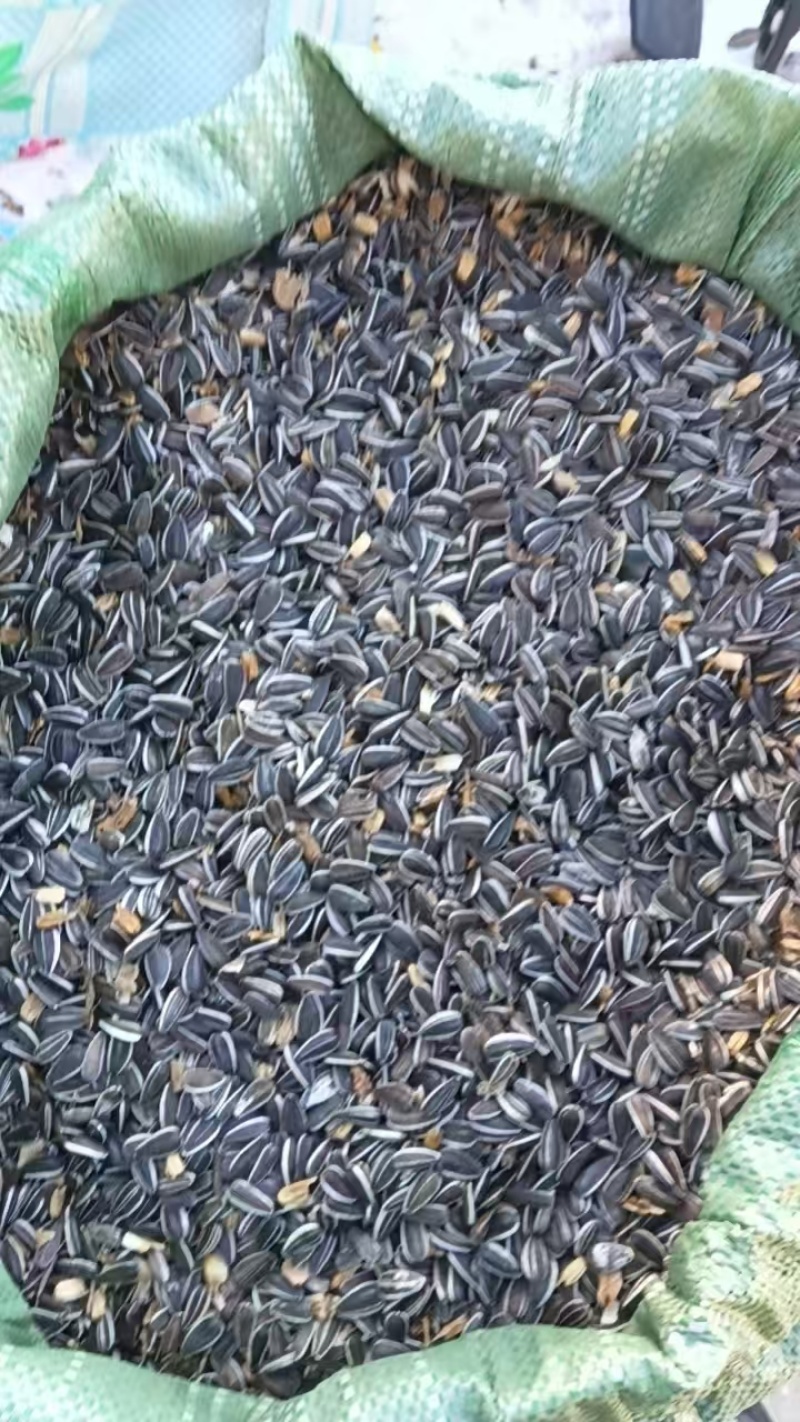葵花籽，生货，美人心