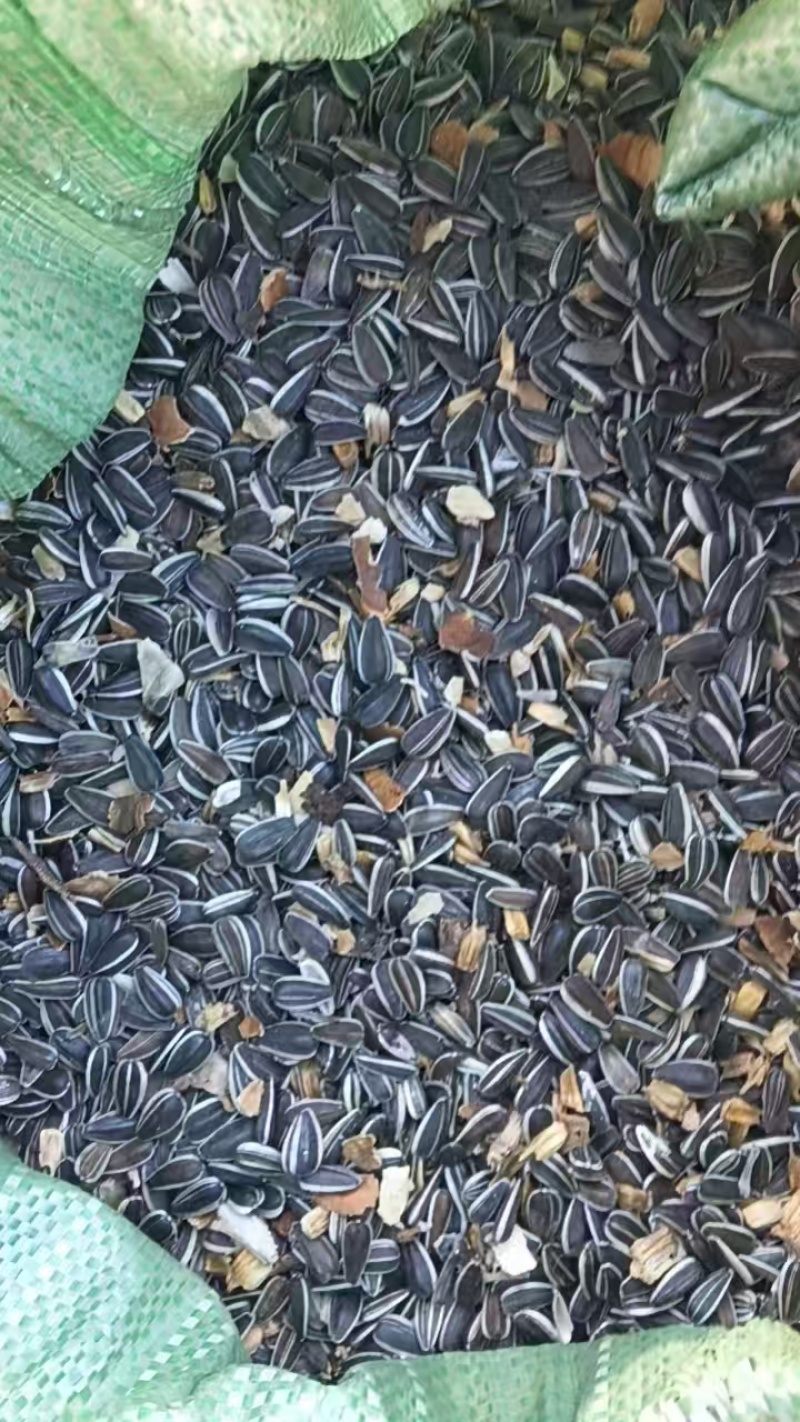 葵花籽，生货，美人心