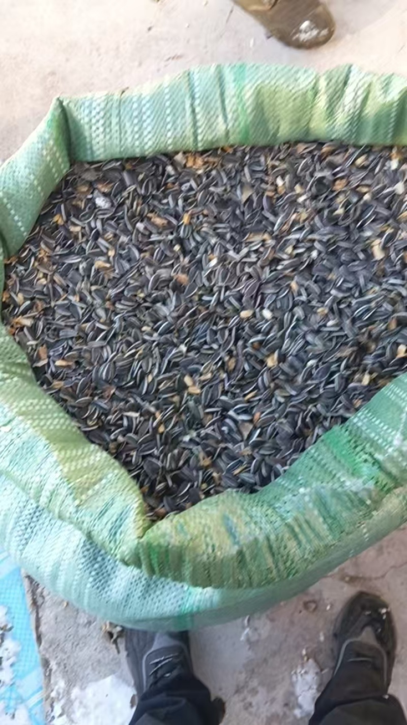 葵花籽，生货，美人心