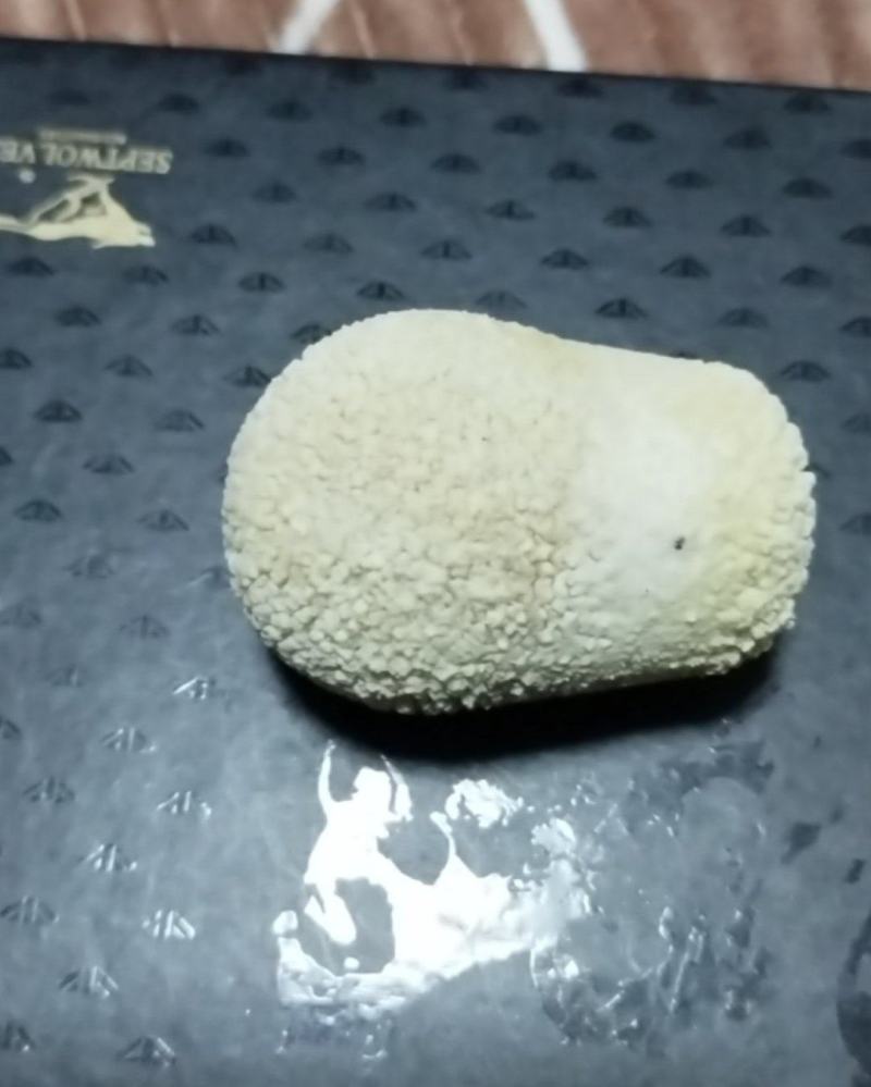 狗宝